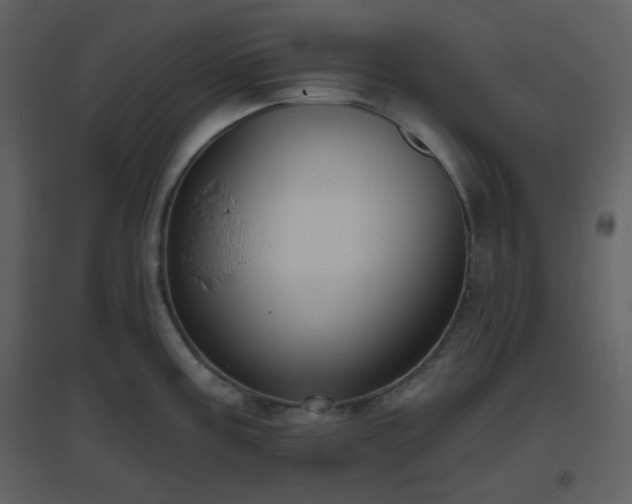 X0000096631195200802121040