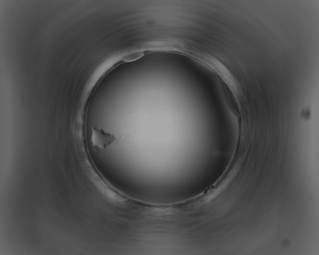X0000096631196200802121040