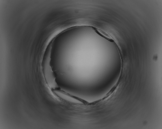 X0000096631197200802121040