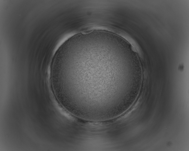 X0000096631198200802121040