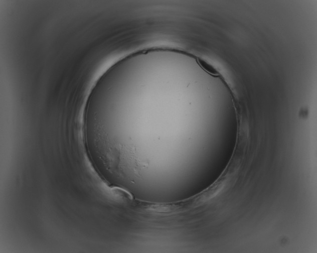 X0000096631199200802121040