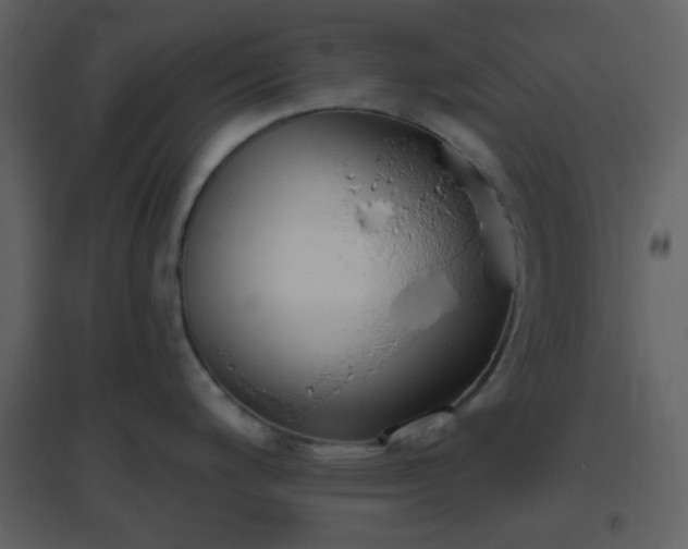 X0000096631200200802121040