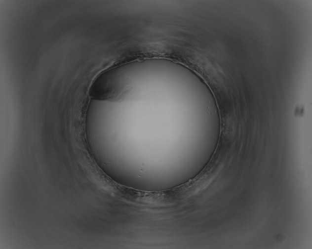 X0000096631201200802121039