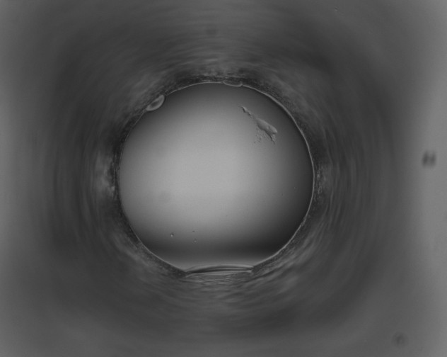 X0000096631202200802121039