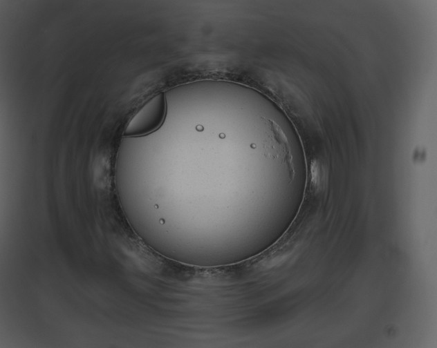 X0000096631203200802121039