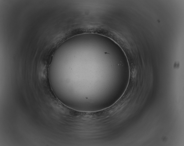 X0000096631204200802121039