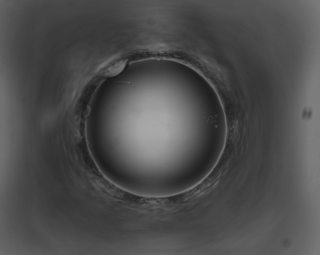 X0000096631205200802121039
