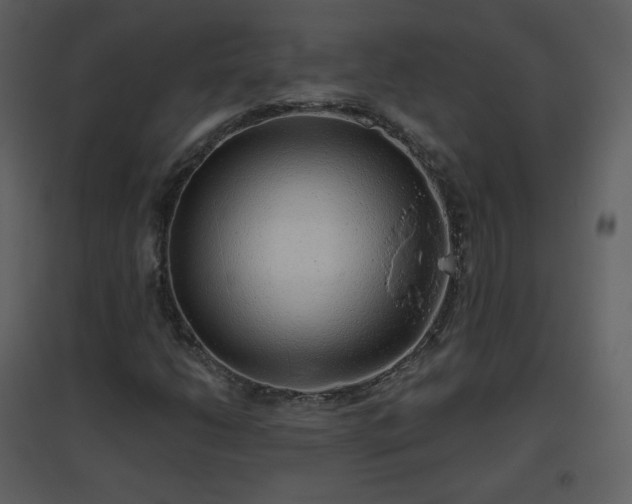 X0000096631206200802121039
