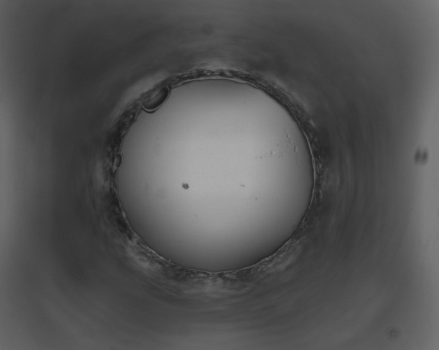 X0000096631207200802121039