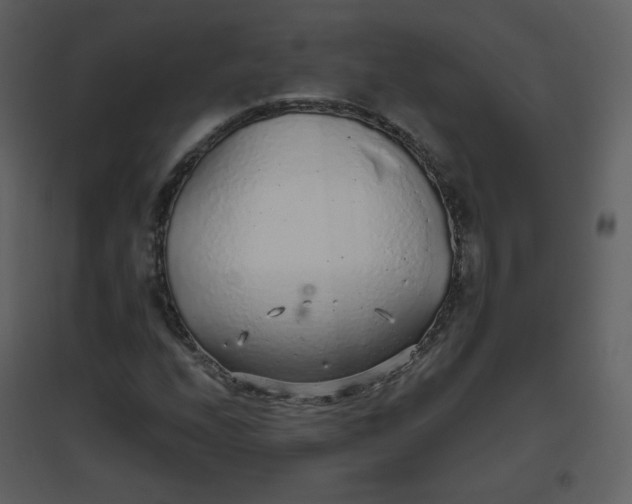 X0000096631208200802121039