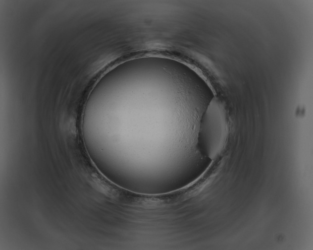 X0000096631209200802121039