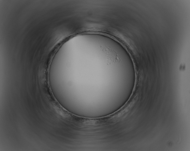 X0000096631211200802121039