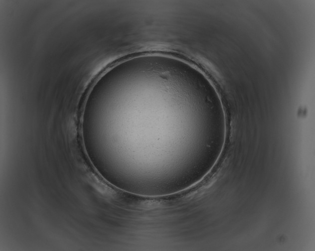 X0000096631212200802121039