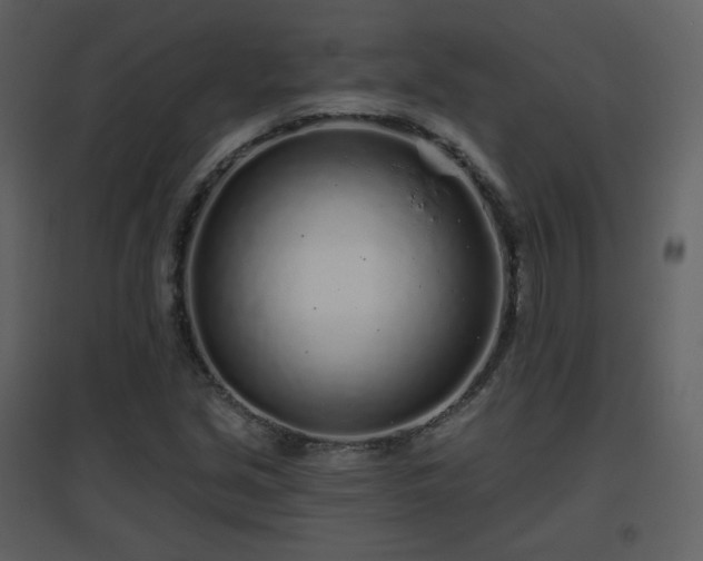 X0000096631213200802121039
