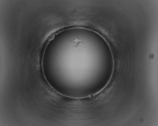 X0000096631214200802121039