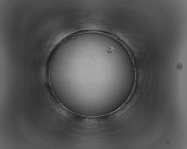 X0000096631215200802121039