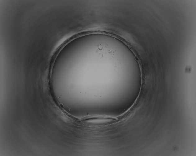 X0000096631216200802121039