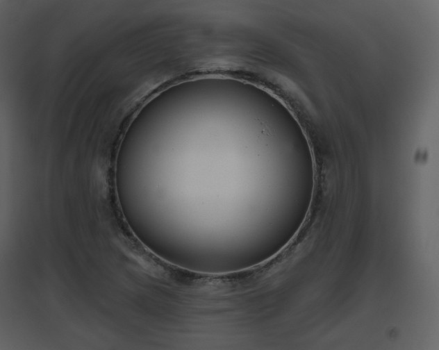 X0000096631217200802121039