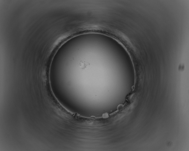 X0000096631218200802121039