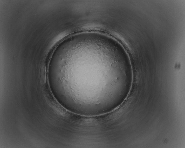 X0000096631219200802121040