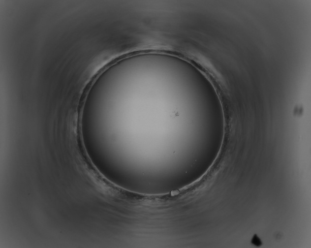 X0000096631220200802121040