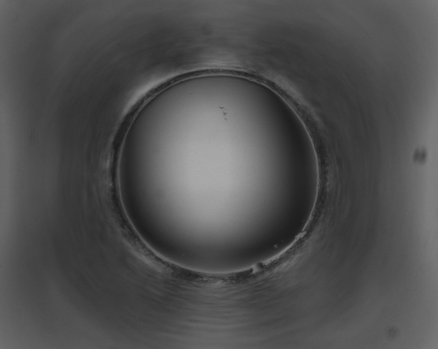 X0000096631222200802121040