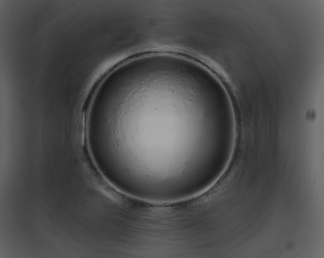 X0000096631223200802121040