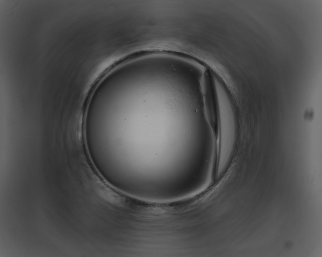 X0000096631224200802121040