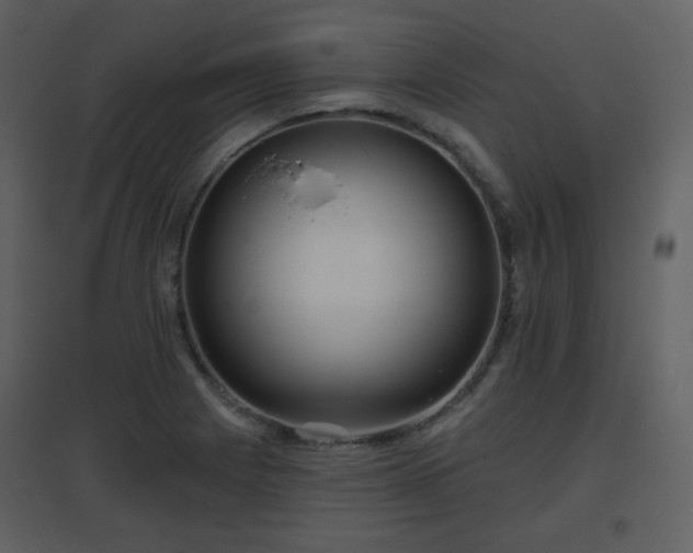 X0000096631225200802121040