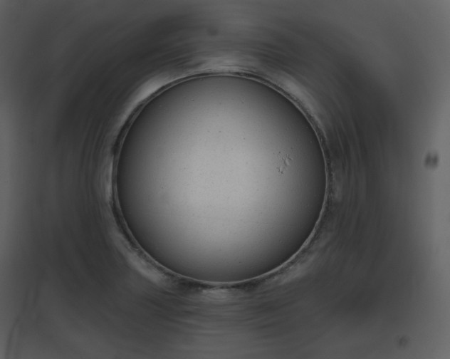 X0000096631227200802121040