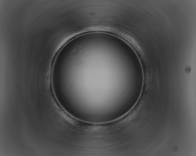 X0000096631228200802121040