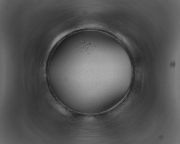 X0000096631230200802121040