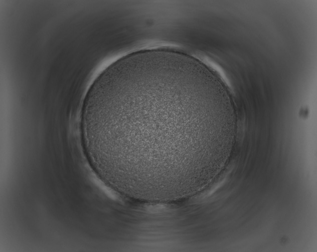 X0000096631231200802121040