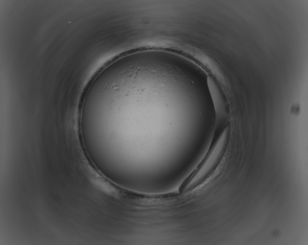 X0000096631232200802121040