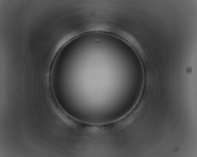 X0000096631234200802121040