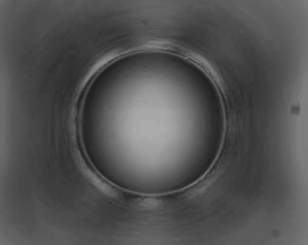 X0000096631235200802121040