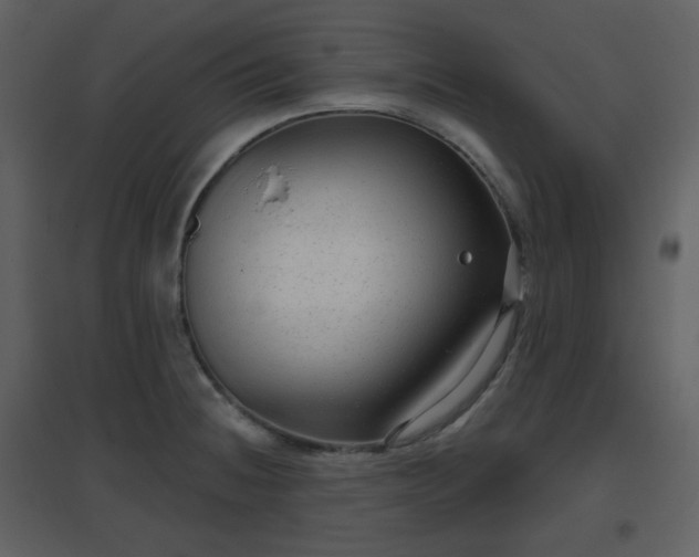 X0000096631236200802121040