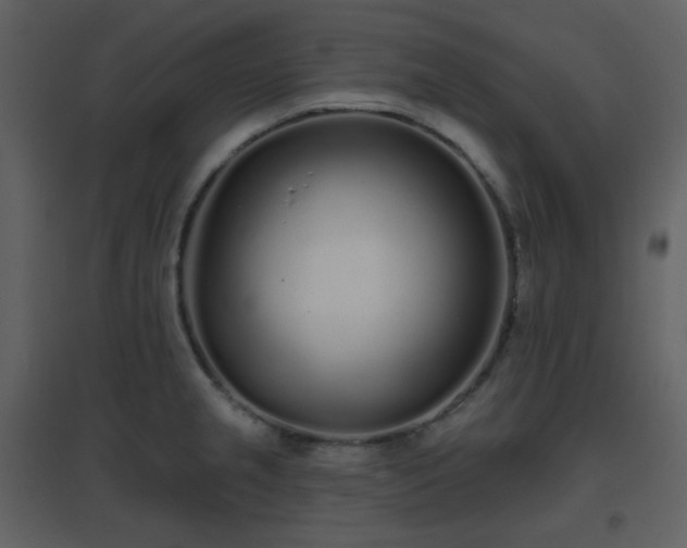 X0000096631237200802121040