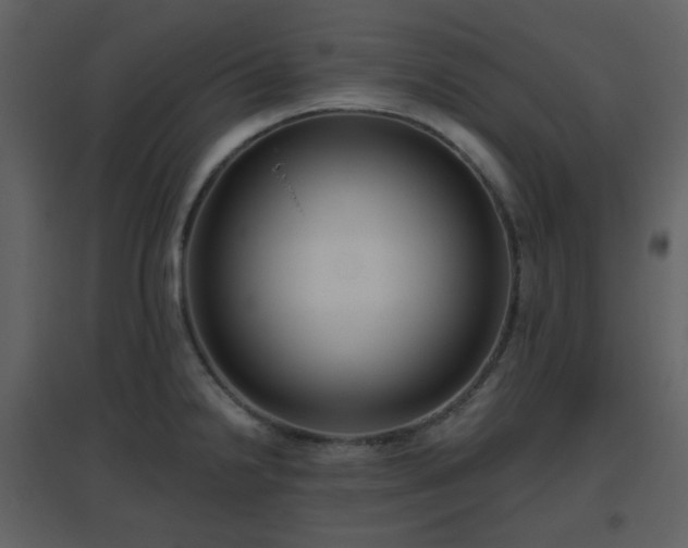 X0000096631238200802121040