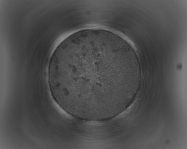 X0000096631239200802121040