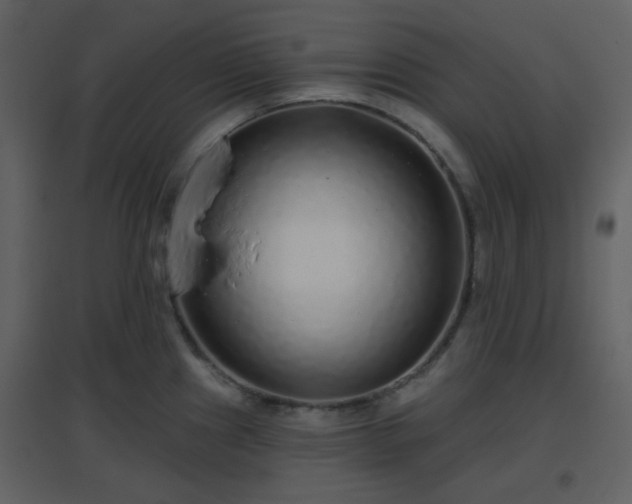 X0000096631241200802121040