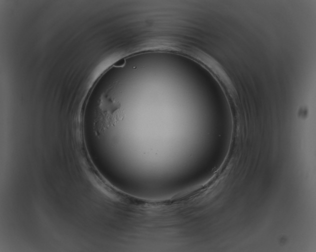 X0000096631242200802121040