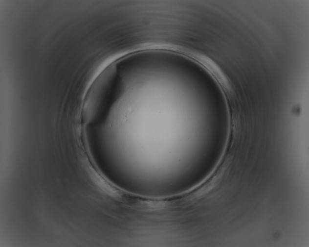 X0000096631244200802121040