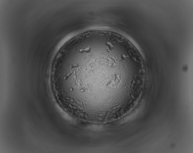 X0000096631245200802121040