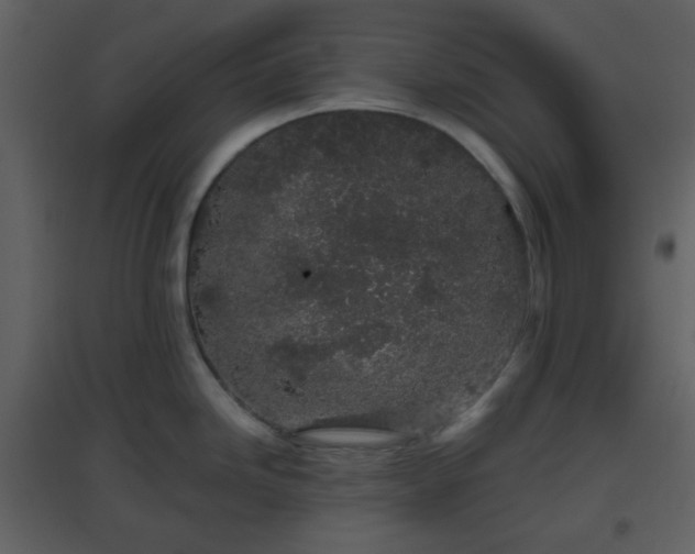 X0000096631246200802121040