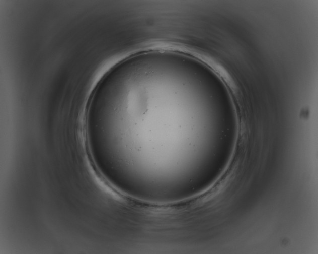 X0000096631247200802121040