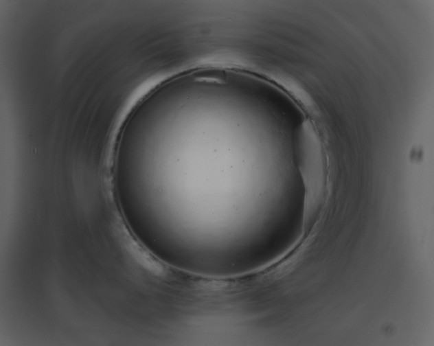 X0000096631248200802121040