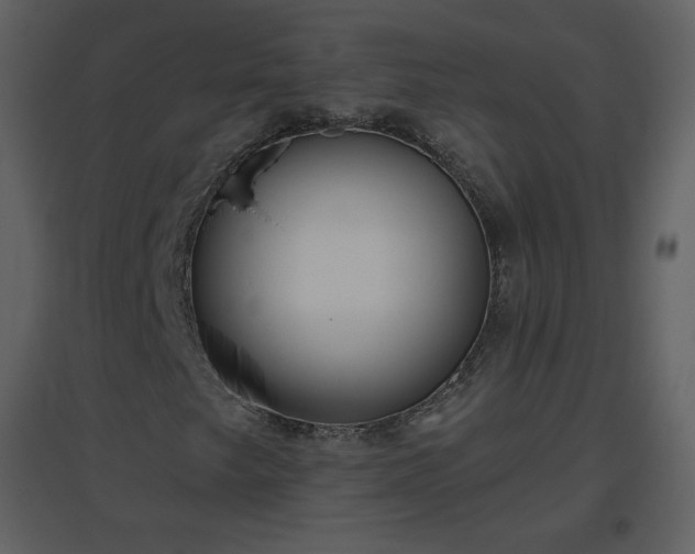 X0000096631249200802121039