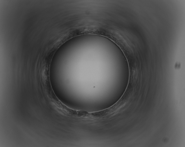 X0000096631250200802121039