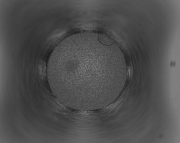 X0000096631251200802121039